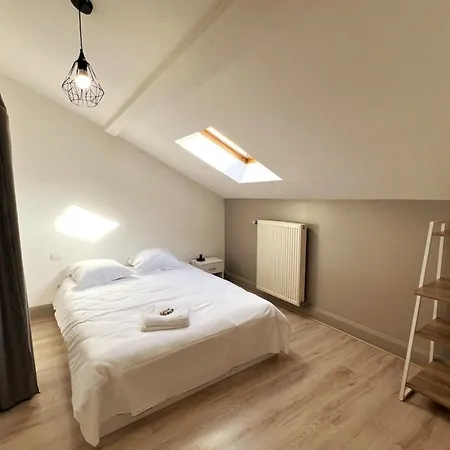 Le Scarpone Neuf 6 Ou 8p Parking Appartamento Nancy